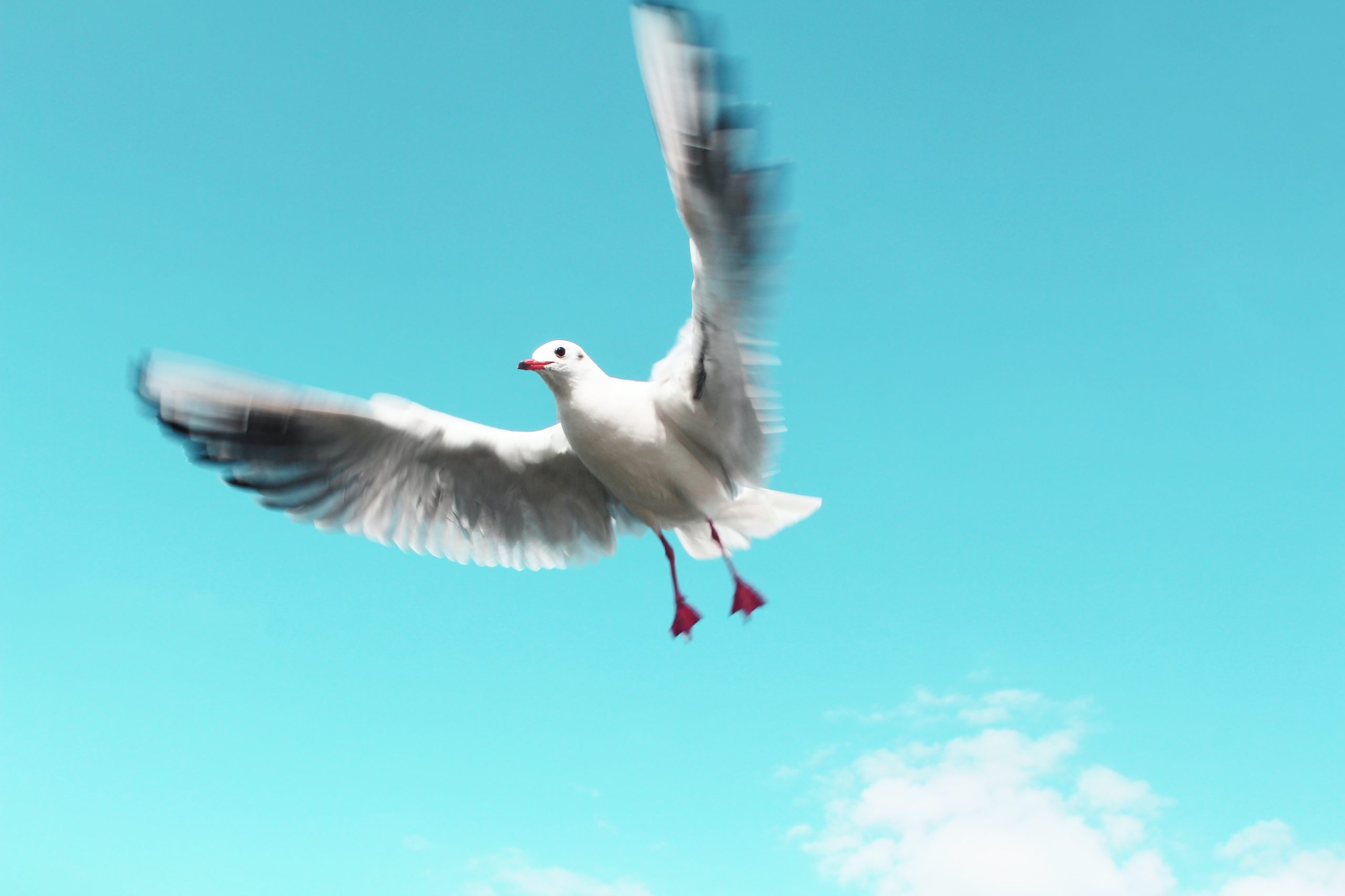 アイキャッチ画像